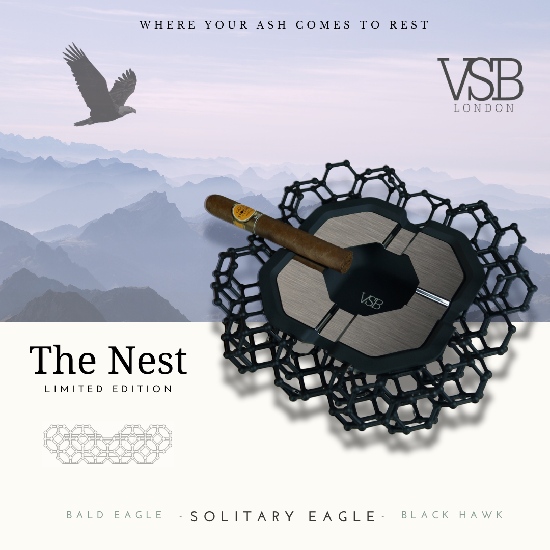 The Nest - Solitary Eagle